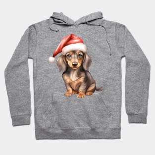 Dachshund Dog in Santa Hat Hoodie